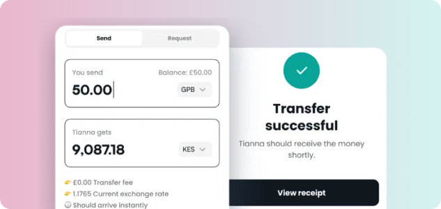 Fintech & Payments Platforms