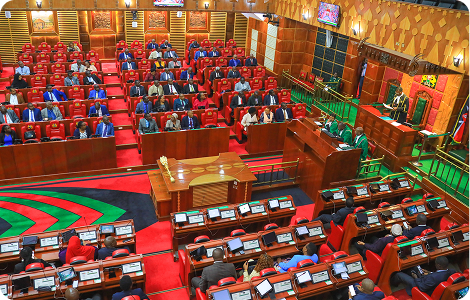 Government & Institutional Systems